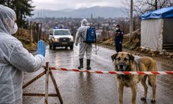Van’da köpek saldırısı: 3 çocuk kuduz şüphesiyle tedavi altında