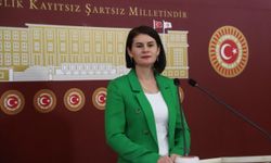 Van Milletvekili Kaçmaz’dan TBMM’ye kanun teklifi: 20 ilde elektrik, doğalgaz ve su faturalarında KDV %1’e düşürülsün