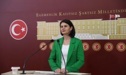 Gülcan Kaçmaz Sayyiğit Meclis'ten seslendi: “Van’da otogar ve sağlık altyapısı yetersiz”
