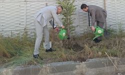 Van Adliyesi otoparkına fidan dikimi yapıldı
