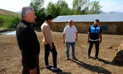 Van’da kuduz vakası sonrası mahallede karantina uygulaması başlatıldı