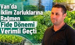 Van’da iklim zorluklarına rağmen fide dönemi verimli geçti