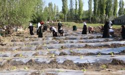 Edremit’te kadınların ürettiği Kent Bostanı Projesi başladı