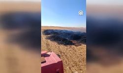 Mardin'de 4 ilçede çıkan yangınlar söndürüldü