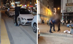 Van'da çöp kutularına zarar veren şahıs kameralara yakalandı