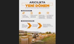 Arı zehri üretiminde yeni dönem: Yönetmelik Resmi Gazete'de yayımlandı