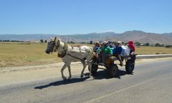Berivanların zorlu yayla mesaisi: “Günde 20 kilometre yol gidiyoruz”