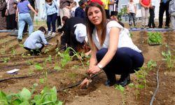 İpekyolu Belediyesi kentin en büyük kadın kent bostanını hizmete açtı