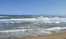 Karadeniz'de tehlike: Sakarya ve Düzce'de denize girişlere yasak