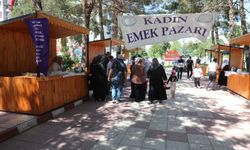 Erciş'teki Emek Pazarı Projesi kadın üreticilere destek oluyor