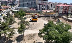 Van Gölü Aktivistleri'nden eski ordu evi için çağrı