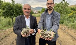 Hakkari'de 32 yıldır ata tohumlarını koruyan çiftçi verimli hasat elde ediyor