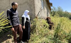 Yüksekova'da ineği telef olan 7 çocuk annesine devlet ve hayırseverlerden destek