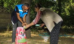 İpekyolu Belediyesi sokak hayvanlarına mama desteğini sürdürüyor: Beyaz Masa ile talepler karşılanıyor