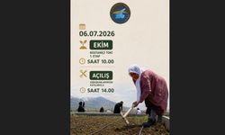 İpekyolu Belediyesi üçüncü kadın kent bostanını hizmete açıyor