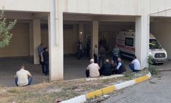 İstanbul'dan, Şanlıurfa’ya tatile gelmişlerdi: İki kardeşten acı haber