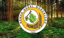 Orman Genel Müdürlüğü’nden yangın uyarısı: Türkiye, İspanya'ya destek gönderdi