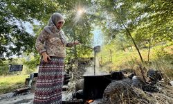 Bingöl'ün tescilli lezzeti Sivan dut pekmezinin zorlu mesaisi