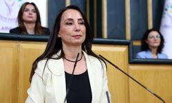 Tülay Hatimoğulları’ndan Meclis'te “çerçeve yasa” çağrısı