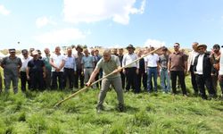 Bingöl'deki Çotla Festivali'nde vali ata binip tırpanla ot biçti