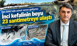 Van Gölü’nde umut veren gelişme: İnci kefalinin boyu 23 santimetreye ulaştı