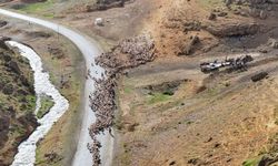Van yaylalarında kartpostallık görüntüler: Sürüler kar, dere ve dağları aşıyor