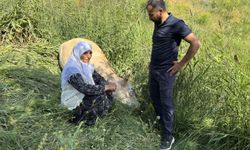 Yüksekova'da üzüntü mutluluğa dönüştü, hayırseverler Ayni teyzeye destek oldu