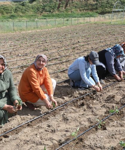 Kadın Kent Bostanı’nda ikinci sezon heyecanı