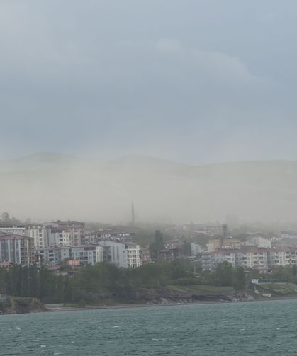 Toz bulutu Ahlat'ı etkisi altına aldı