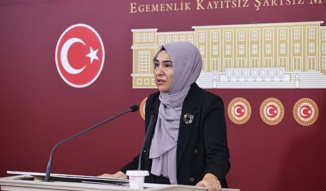 Van Milletvekili Gülderen Varlı’dan peş peşe iki soru önergesi: “Aile Yılı’nda kadın cinayetleri arttı"