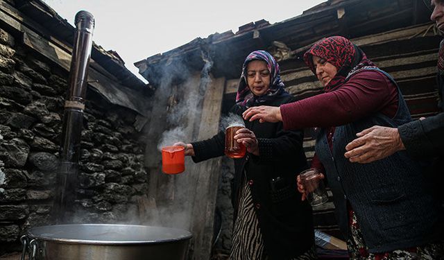 Ormandan topladıkları kozalaklardan pekmez yapıyorlar
