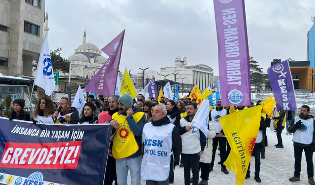 Van’da kamu emekçileri iş bıraktı: Grev haktır, ek zam hemen şimdi!