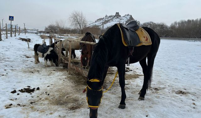 Beton yığınlarından kaçışın adresi: Van Kalesi’nde nal sesleri ve huzur!