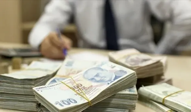 IPARD III kapsamında 375,6 milyon liralık hibe desteği hesaplara aktarıldı