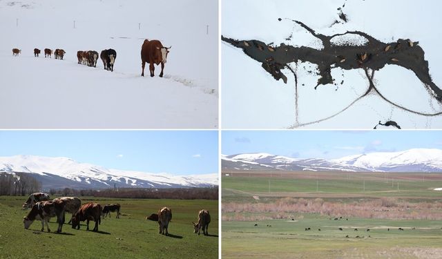İki mevsim aynı anda: Ovada bahar, zirvelerde kış