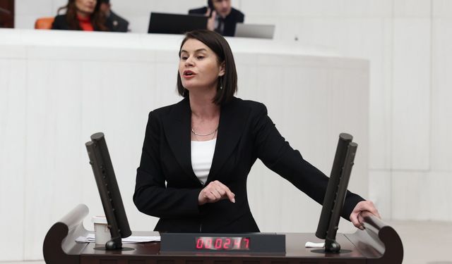 DEM Partili Sayyiğit, Van'daki sağlık sorunlarını meclis gündemine taşıdı