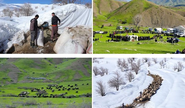 Hakkari’de aynı anda kış ve bahar: Yükseklerde kar, Derecik’te çiçekler açtı