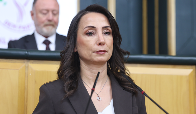 DEM Parti'den "kök yasa" çağrısı: Taslak bize ulaşmadı, Meclis kapanmadan çıkarılmalı