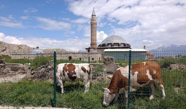 Vangölü Aktivistleri’nden eski Van Şehri için koruma çağrısı
