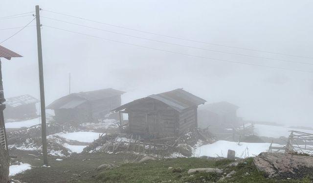 Ardahan'ın yüksek kesimlerinde mayıs sonunda kar sürprizi