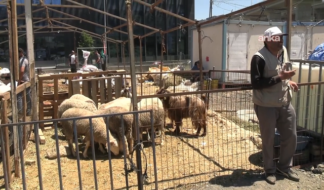 Kurban pazarlarında büyük hayal kırıklığı: Besiciler sezonu zararla kapattı
