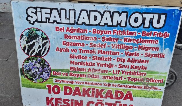 Bursa’dan Van’a uzanan şifalı bitki yolculuğu