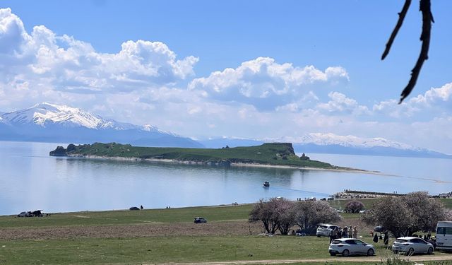 Vangölü Aktivistleri uyardı: Çarpanak Adası’nda ekolojik tehdit büyüyor