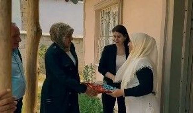 DEM Partili Sayyiğit: Van'da sağlıkta kronik sorunlar devam ediyor