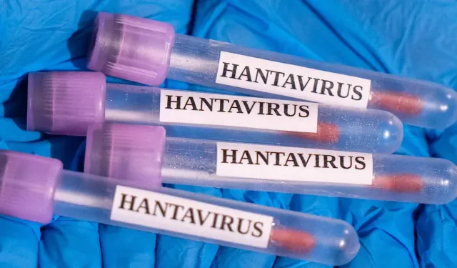 Hantavirüs nasıl bulaşır, tedavisi var mıdır?