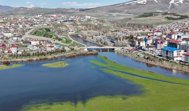 Ardahan'da Kura Nehri kar sularıyla coştu