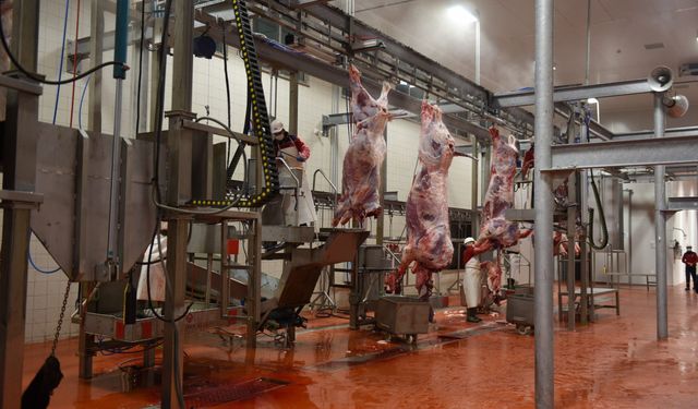 Van’da bayram namazı sonrası kurban kesim telaşı başladı