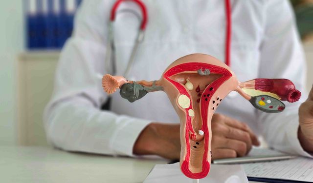 Mesane pili tedavisi hastaya iki aşamalı uygulanıyor