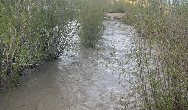 Dernek Başkanı Erdem Güngör’den Hoşap Çayı ve Şamran Kanalı için çağrı