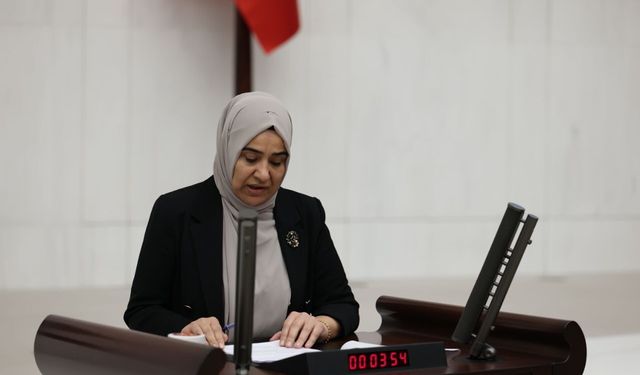 Gülderen Varlı: Van’daki sorunların temel nedeni kayyım politikalarıdır